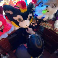 胖狐缘斋 (@ahriman18) 's Twitter Profile Photo 胖狐缘斋 (@ahriman18) 's Twitter Profile Photo
