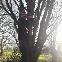 Ben Dickins (@pyretical) 's Twitter Profile