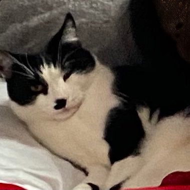 healingyourway's profile picture. 