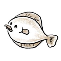 ๐ฅ๐ใฟใใใ ๐น๐บ (@zoe841) 's Twitter Profile