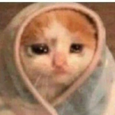 MathiasMachuca2's profile picture. 