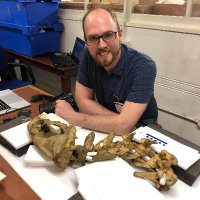 Dr David Hocking (@dphocking) 's Twitter Profile