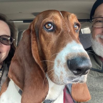 devonkat's profile picture. Cats. Books. Coffee. Basset. Repeat. #Adopt #Rescue #Read #uglydogs RIP Dixie 🌈 🐾 Also at that place where the sky is blue.