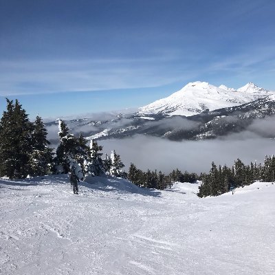 LiteracyDeschCy's profile picture. 