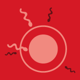 Reproductive Medicine_MDPI (@mdpimedicine) 's Twitter Profile Photo Reproductive Medicine_MDPI (@mdpimedicine) 's Twitter Profile Photo