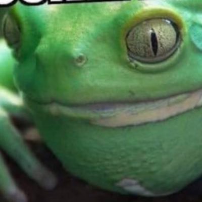 If the Frog of Shame gets more likes than the original post. Then the original post is shite!