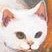 KingFatCat3's profile picture. 🇲🇽🇺🇸 Resident Evil Enjoyer and  professional achievement hunter. “A strong man doesn’t need to read the future. He makes his own.”