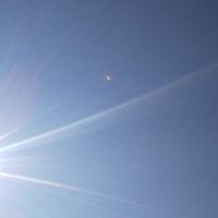 きゅぼし (@jyonojyonocyanc) Twitter profile photo