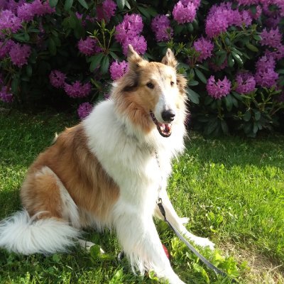 Ruth25404421's profile picture. 