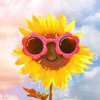 Lola48114621's profile picture. 