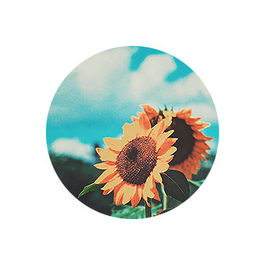 𝑯𝒆𝒊𝒎𝒂𝒕 𝑭𝒂𝒎𝒊𝒍𝒚 🌻