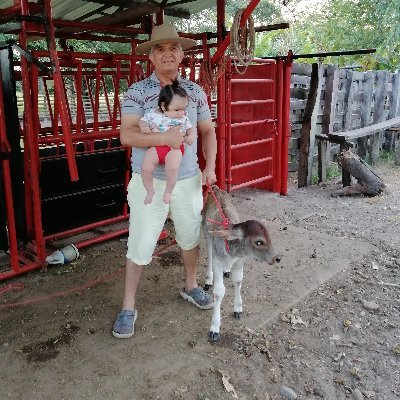 armandopenavill's profile picture. Evaluador de Competencias Laborales Sena