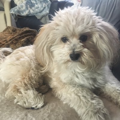 BradPet82973479's profile picture. No socialists allowed. Alberta independence. Resisting the One World Government.