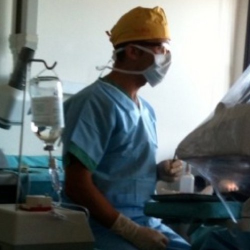 Guillaume6412's profile picture. 