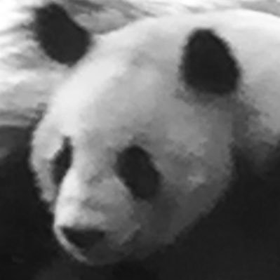 田中ヒロミチさんのプロフィール画像