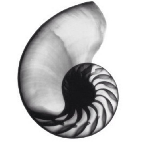 JadeSun6's profile picture. 