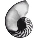 Jade Sun - @JadeSun6 - Twitter