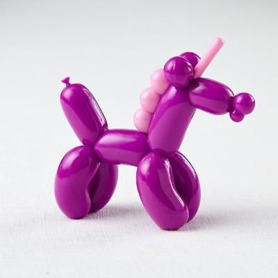 Nate Diaz' Animal Balloons