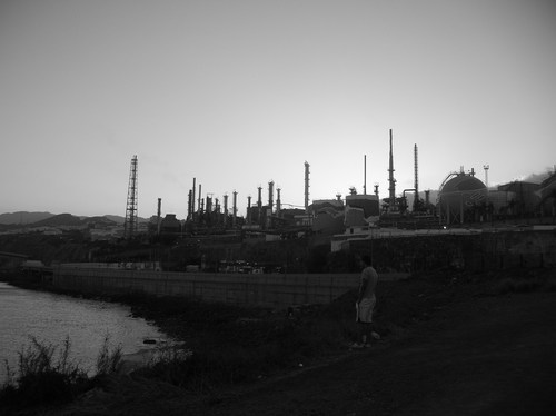 LiaMonher's profile picture. 