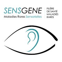 Filière de santé maladies rares SENSGENE(@sensgene) 's Twitter Profile Photo