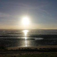 Heather Alcock (@heatheralcock3) 's Twitter Profile Photo
