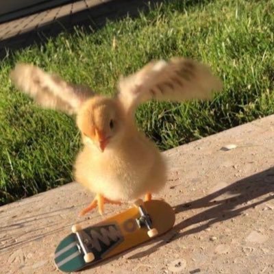 skrrtur's profile picture. 