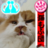 手洗いうがい♪ ねぎた&茶々丸(手縫いマスク中)のアイコン