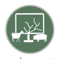 Rafael Márquez Serrano (@rmrquez) 's Twitter Profile Photo