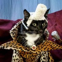 Crypto_Horse (@cryptohorse6) 's Twitter Profile