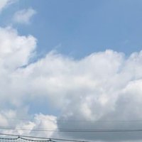 とちうさ (@once_cabbage) 's Twitter Profile