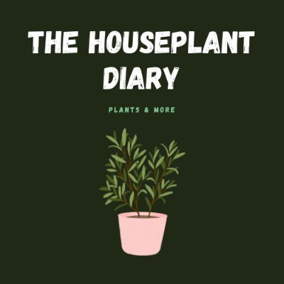 HouseplantDiary's profile picture. Beginner houseplant blogger - sharing my experience with indoor plants