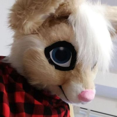 CypeFox's profile picture. 32 | 👤 ENFJ | ♌ Leo | 👁️ Indigo Child | 🌍 World Citizen | 🏳️‍🌈 Pansexual | ⚧ Genderfluid/Māhū | 🔜 @2Dance_NRW, @tfi_con | Suit by @ponponsuits