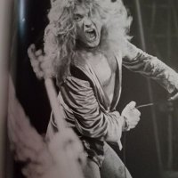 Strider Jones (@jones_strider) 's Twitter Profile