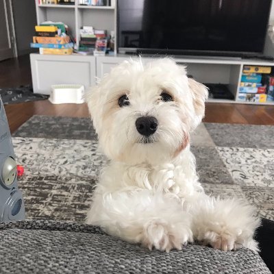 Ds: Arsik#5479 Twitch: https://t.co/4gDEsLeolY 1111 family polish/russian