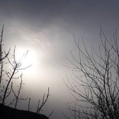 fatemeh98103010's profile picture. Its me fatemeh