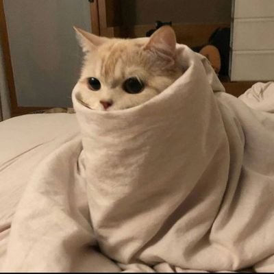 _keshav9_'s profile picture. 