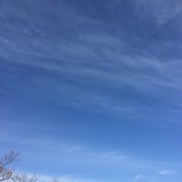 びーびーぶるー🐯 (@6cax5xteez5hyjz) 's Twitter Profile