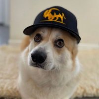 Toba Curling (@tobacurling) 's Twitter Profile Photo Toba Curling (@tobacurling) 's Twitter Profile Photo