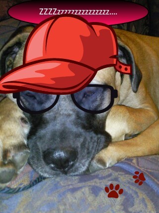 kellyc00's profile picture. 