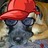 kellyc00's profile image