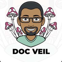 DocVeiL (@docveil2) 's Twitter Profile