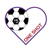 The Matthew Mangine Jr. 'One Shot' Foundation(@OneShotFndtn) 's Twitter Profile Photo