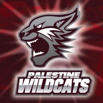 The official account of Palestine ISD