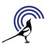 Newham Voices (@newhamvoices) Twitter profile photo Newham Voices (@newhamvoices) Twitter profile photo