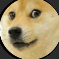 DOGEPOUNDGANG8 (@dogepoundgang8) 's Twitter Profile