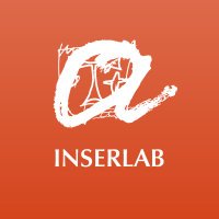 INSERLAB URV(@inserlabURV) 's Twitter Profile Photo