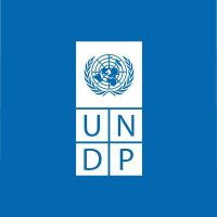 UNDP Digital(@UNDPDigital) 's Twitter Profile Photo