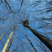 Freihafen Osterholz (@fhosterholz) 's Twitter Profile