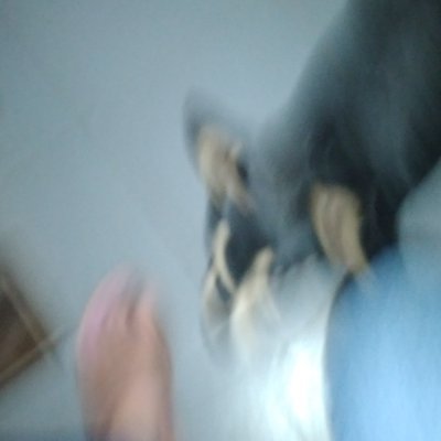 aguero_rocio's profile picture. 