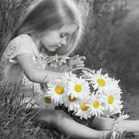 Loris Orchidea (@lorisorchidea) 's Twitter Profile Photo